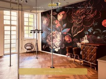 Screenshot von https://polesports.de/studio/pole-dance-bremen